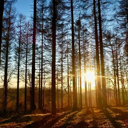 Hotell Berggasthof Tönsblick Oerlinghausen