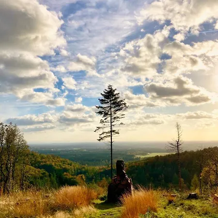 Hotell Berggasthof Tönsblick